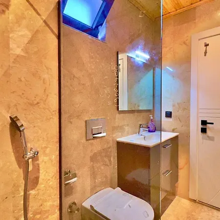 With Private Outdoor And Indoor Pool *