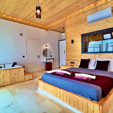Willa With Private Outdoor And Indoor Pool